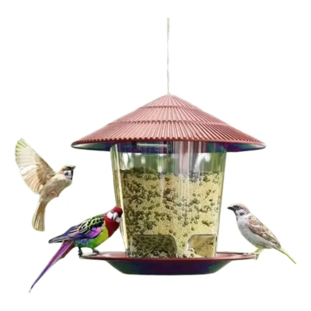 Comedero Automático Colgante Para Pájaros Con Dispensador M