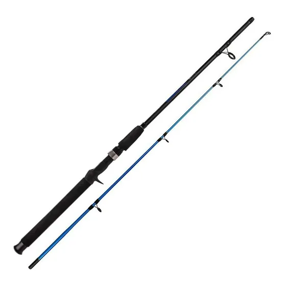 Vara Saint Plus Hard Line 2402bc 20 - 40lbs 2,40m - 2 Partes