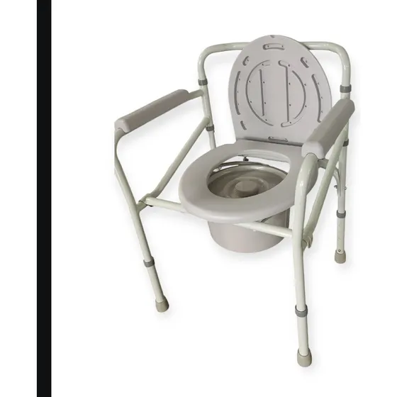 Silla Sanitario Plegable Altura Regulable Dargentto