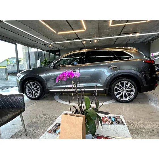 Mazda Cx-9 Touring