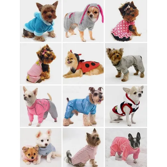 Moldes Patrones Digitales .pdf De Ropa Para Perros Pasoapaso