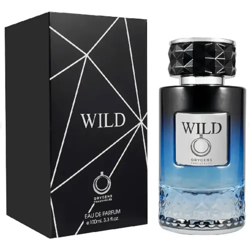 Perfume Fragrance World French Avenue Aether 100ml Unissex | Frete