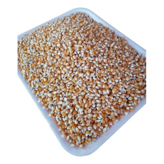 Maíz Palomero 1 Kg De Excelente Calidad Y Sabor