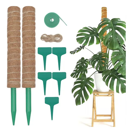 2uds Tutor De Musgo Para Plantas 43 Cm Verde / Moss Pole