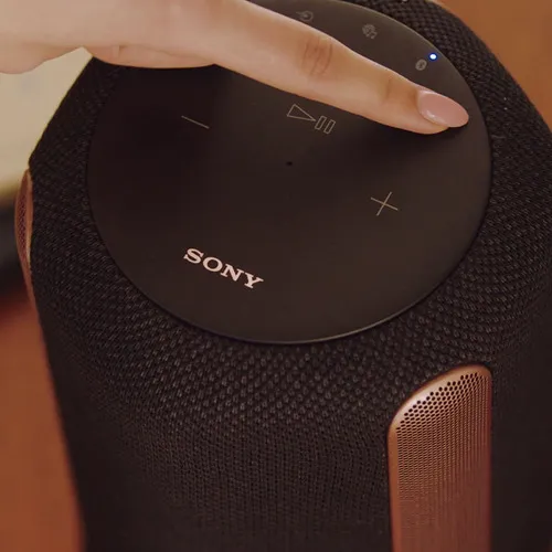 Bocina Inalámbrica Sony Premium Srs-ra3000 Bluetooth Color Negro
