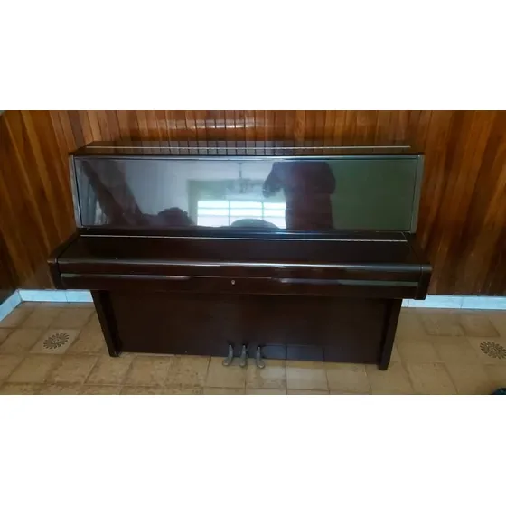 Piano Vertical