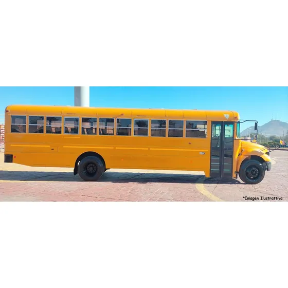 Camion Bus Escolar 2009