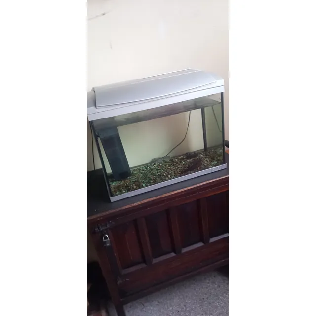 Acuario
