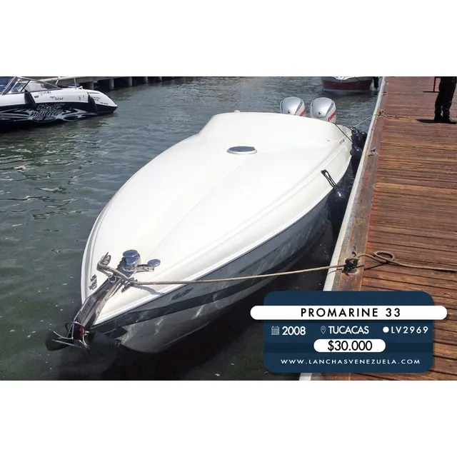 Lancha Promarine 33 Lv2969