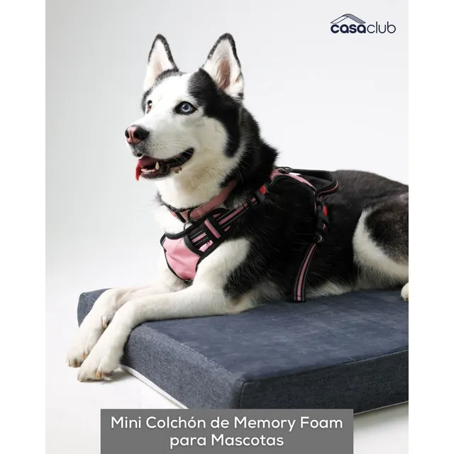 Colchón De Lujo Con Memory Foam Para Perro , Gato,  Mascotas