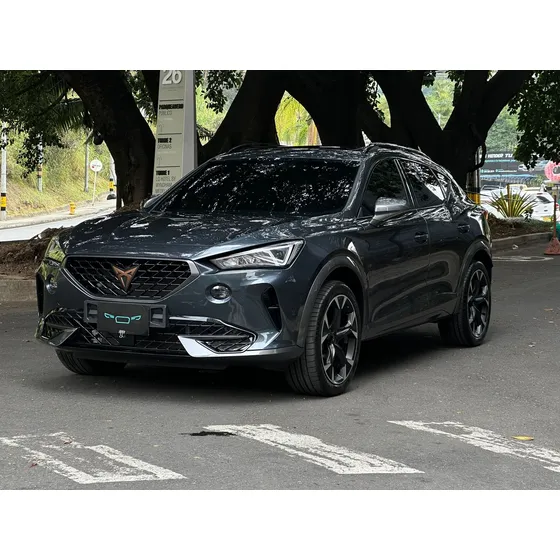 Cupra Formentor 2.0 Tsi Metalizado Dsg