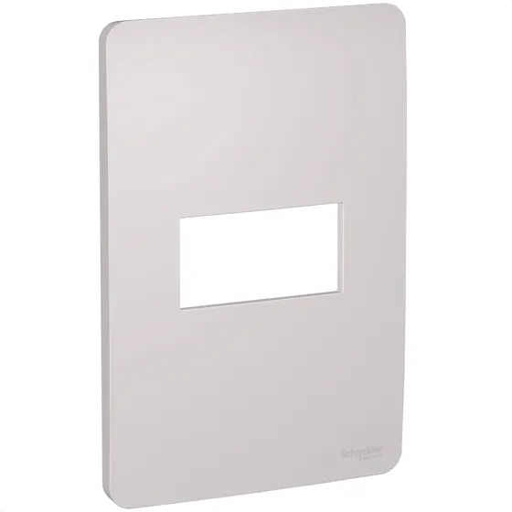 Espejo retrovisor Orion Schneider Electric 4x2 con enchufe de posición única, eje gris