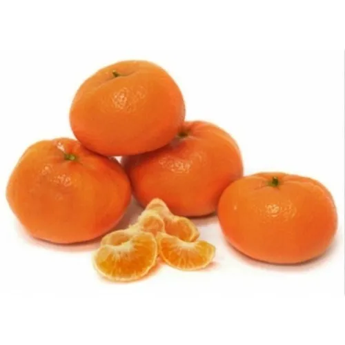 Linda Muda De Tangerina Cravo Enxertada