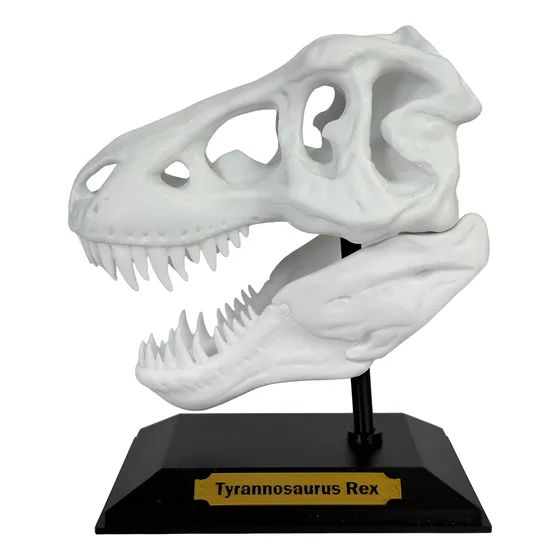 Escultura Craneo Tiranosaurio Rex - Impresión 3d
