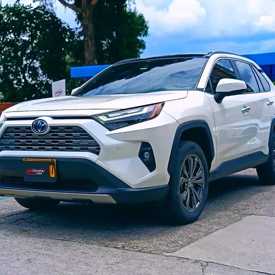 Toyota Rav4 2022 2.5 Limited Hev 4x4 Cvt