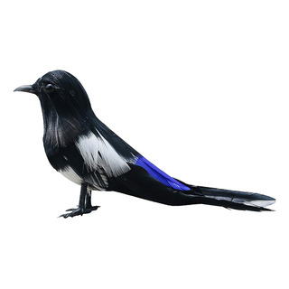 Taxidermia Realista Urraca Taxidermia Realista Urraca