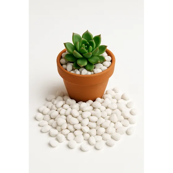 Piedra Decorativas Cactus Y Suculentas 1kg