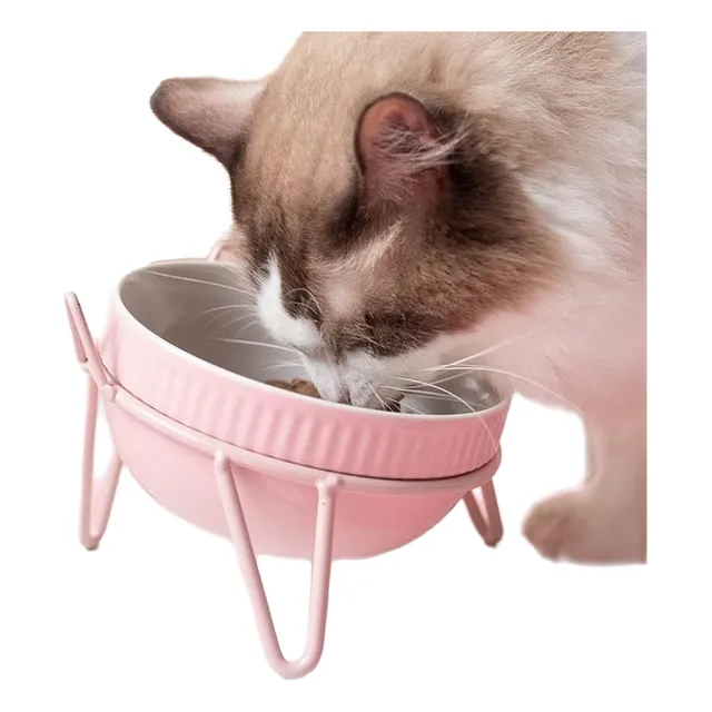 Plato De Comida Para Gatos Con Soporte -cerámica