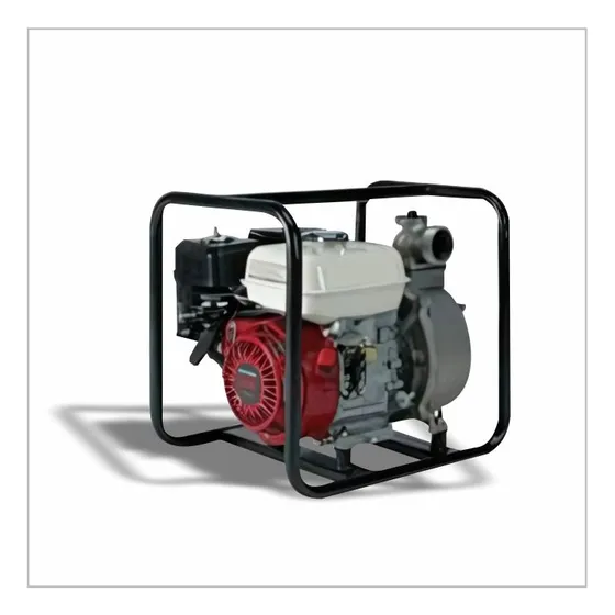 Bomba De Uso Profesional 1.5 X 1.5  Motor Gx 160 5.5hp