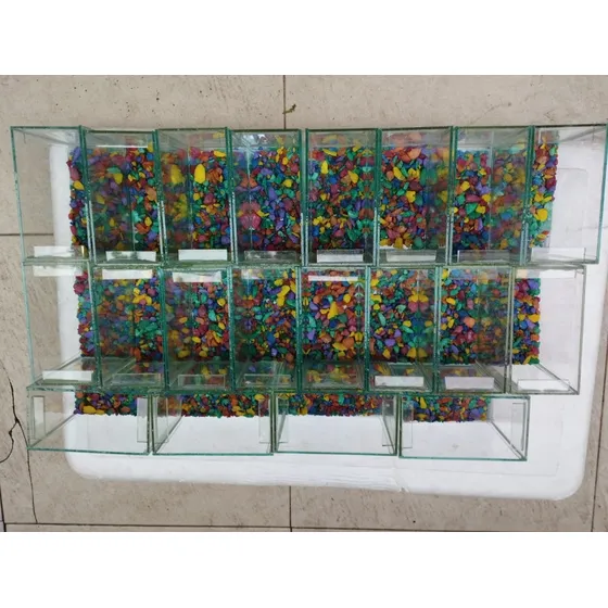 Kits De Aquários E Peixes Bettas Para Festa 10 Unidades Rj