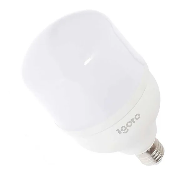 iGoto Foco Led F10530 T100 30W 2700 lumenes 6500K