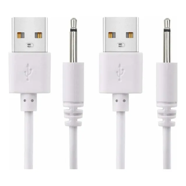 Paquete De 2 Cables De Carga Cc De Repuesto De 2.7 Pies, Ada
