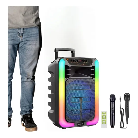 Parlante Portatil Con Microfono Inalambrico 15 Pulgadas Negro