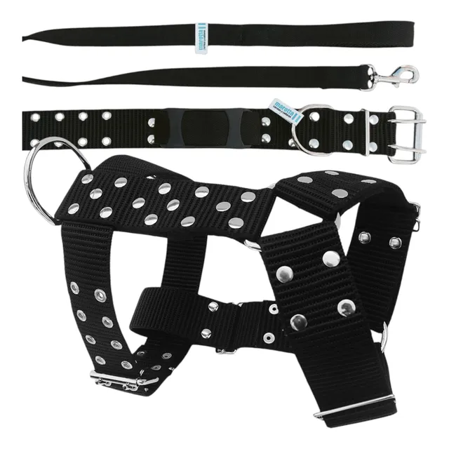 Arnes Pechera Pitbull Mas Collar Mas Correa