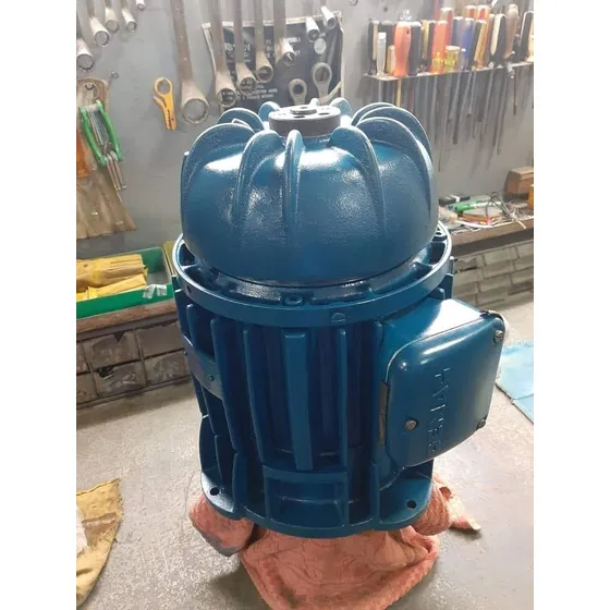 Motor Winche Puente Grua Dmag 7.5hp