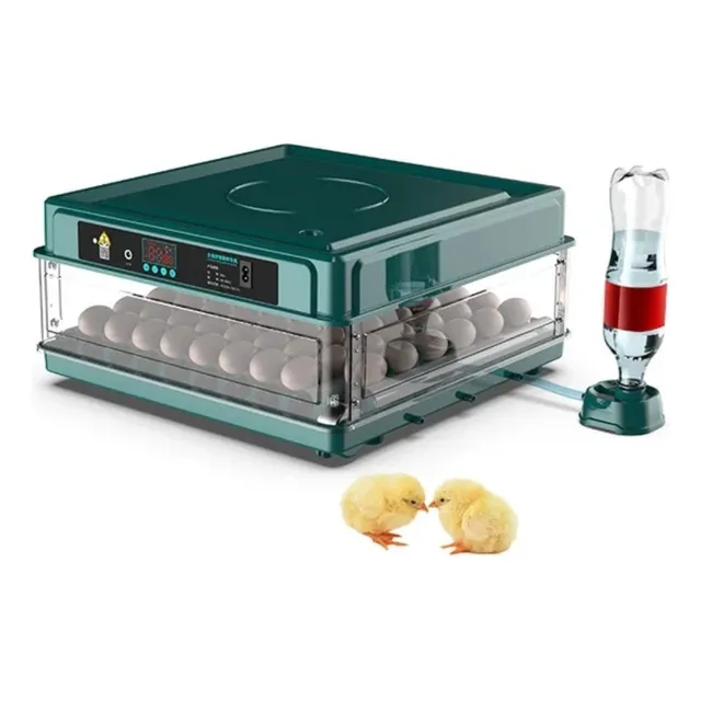 Incubadora Huevos 70 Puestos 110/220v/12v Nuevos