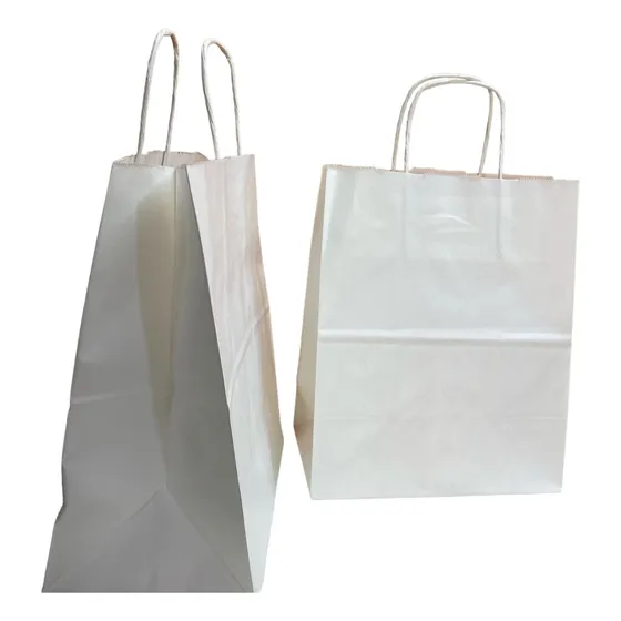 100 Bolsas Papel Kraft Blanco 20x25+12