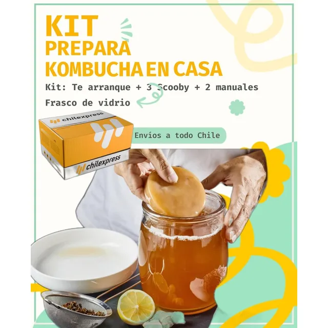 Kit Para Hacer Kombucha En Casa