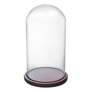 Cúpula De Vidro Bela E A Fera 25x15 C/ Base Madeira Cúpula De Vidro Bela E A Fera 25x15 C/ Base Madeira