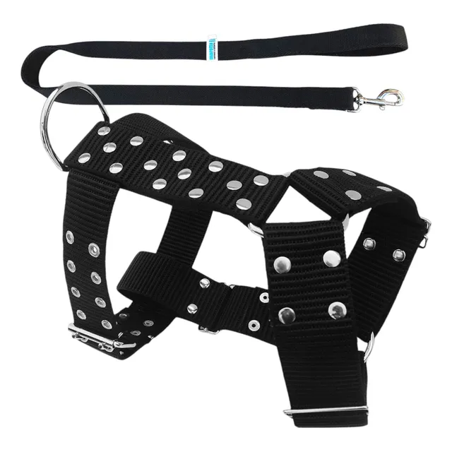 Arnes Y Correa Reforzados Pitbull Rottwailer Dogo Boxer