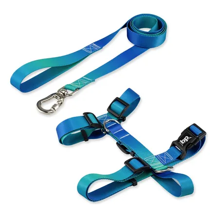 Coleira Peitoral Com Guia Para Cachorro Pet Cães Basic Pet Cor Lake Tamanho Grande