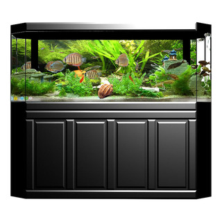 Póster Con Fondo De Acuario De 61 X 41 Cm, Adhesivo De Pvc, Póster Con Fondo De Acuario De 61 X 41 Cm, Adhesivo De Pvc,