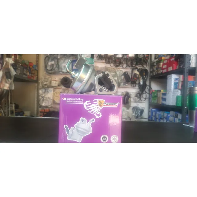 Bomba De Gasolina Chevrolet 350 305 262 307 400