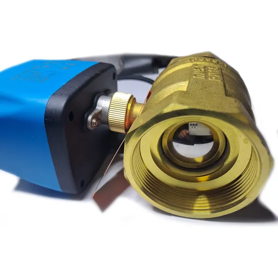 Electroválvula Selenoide Llave De Paso 2puLG Motorizada 110v