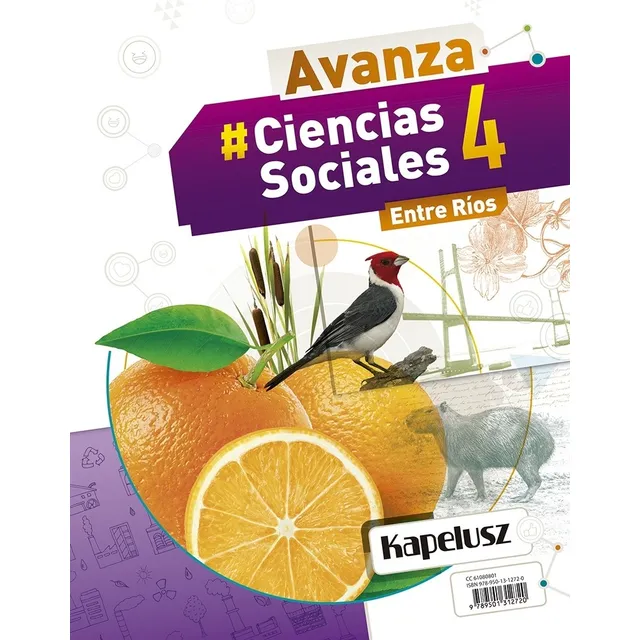 Ciencias Sociales 4 - Avanza Entre Rios, de No Aplica. Editorial KAPELUSZ, tapa blanda en español, 2018