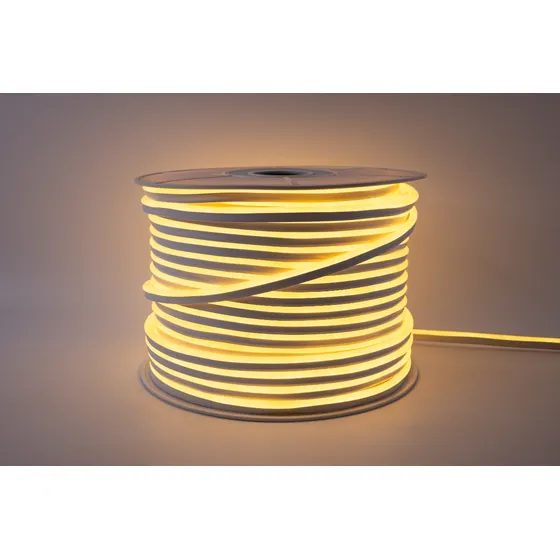 25m Mangueira Led Neon 110/220v 3000k 6000k +.5 Rabichos Cor da luz Branco-quente 220V