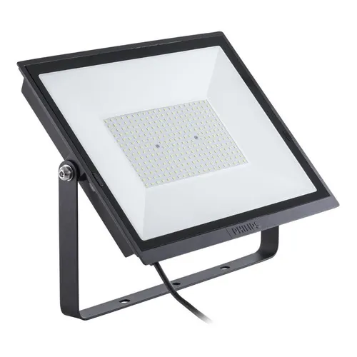 Reflector LED Philips Essential Led Miniflood Bvp152 50W con luz colorblanco frío 220V