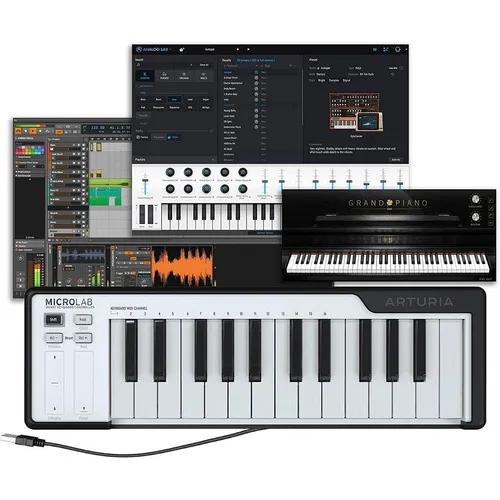 Controlador Arturia Microlab de 25 teclas Midi Usb Mini Teclado Cor Preto