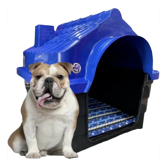 Casa Casinha Plástica Cachorro Número N5 + Colchão Mec Cor Azul