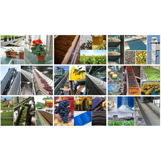 Bandas Transportadoras Agroindustriales Azucareras Elevador 