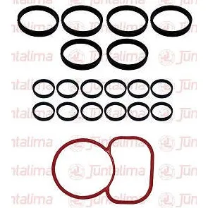 Juntas Coletor Admissao Vw Amarok 3.0 V6 Diesel 24v Turbo