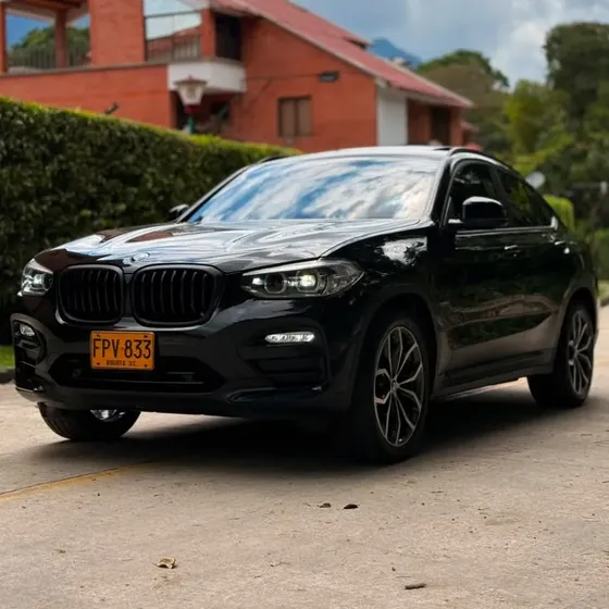 BMW X4 2019 2.0 Xdrive30i