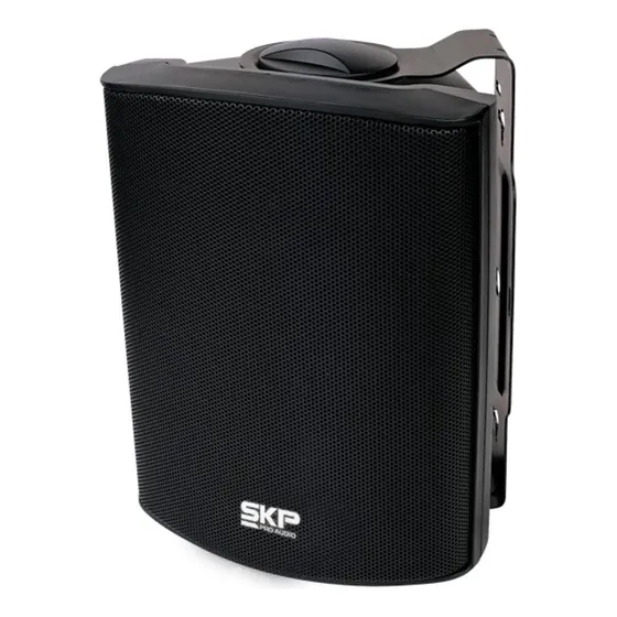 Par De Parlantes De Instalacion Skp Sk 108 Bk