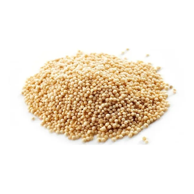 Semillas De Amaranto 1 Kg. Onlynaturalstore