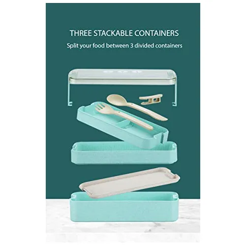 Edtsy Bento Box For Kids And Adults With Dividers 1100 Ml