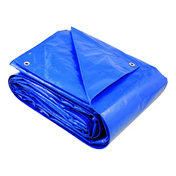 Capa De Proteção P/ Piscinas 300 Micras 6x3 M Retangular Kit